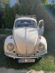 Volkswagen Brouk