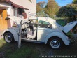 Volkswagen Brouk