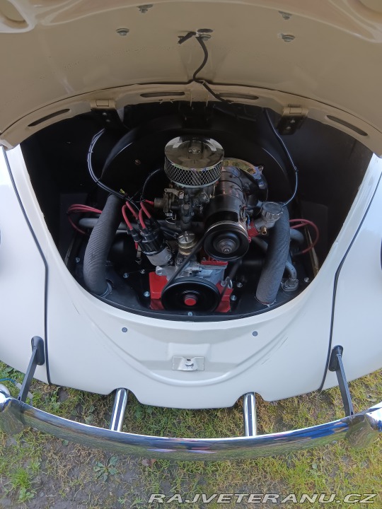 Volkswagen Brouk 1968