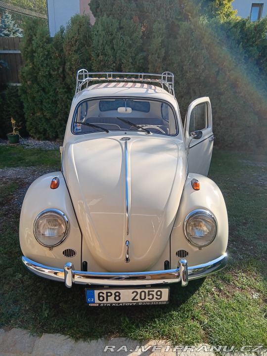 Volkswagen Brouk 1968