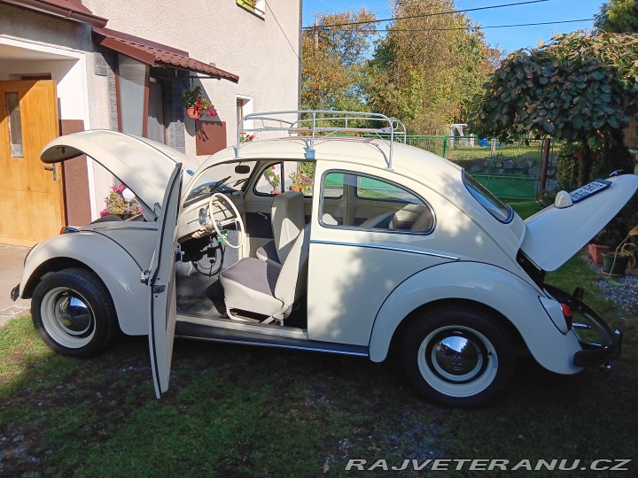 Volkswagen Brouk 1968