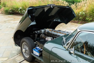 Jaguar E-Type  1964