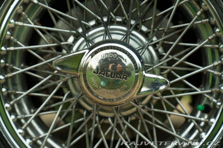 Jaguar E-Type 1966