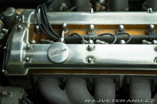 Jaguar E-Type  1966