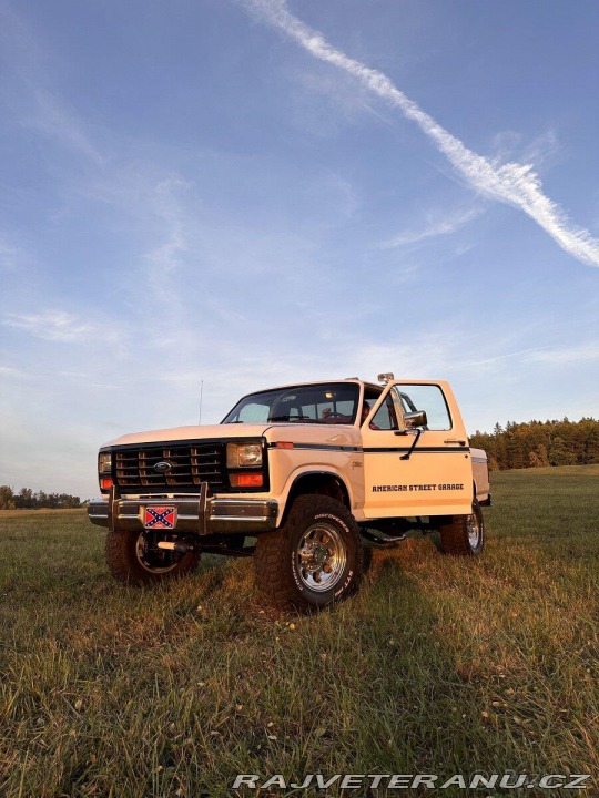 Ford F 6,6 1982 1982
