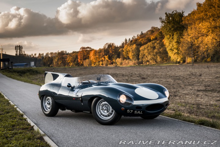 Jaguar D-Type LYNX - 57SAL 1973