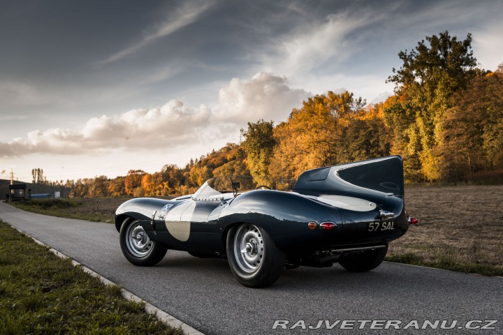 Jaguar D-Type LYNX - 57SAL 1973