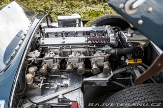 Jaguar D-Type LYNX - 57SAL 1973