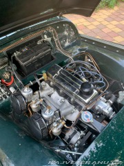 Triumph TR2  1955