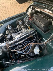 Triumph TR2  1955