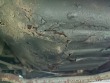 Volvo 1800 