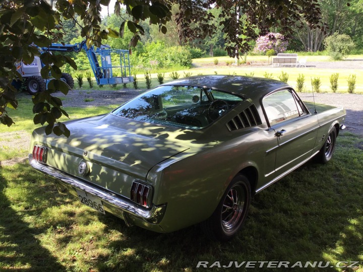 Ford Mustang Fastback 1966