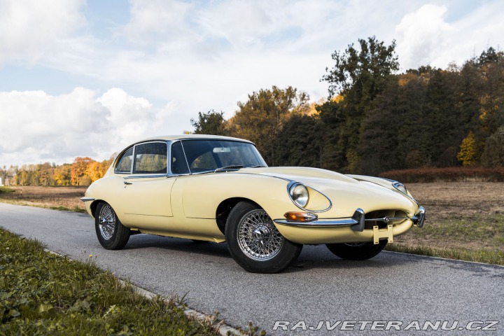 Jaguar E-Type S1 1966