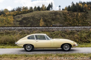 Jaguar E-Type S1 1966