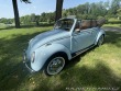 Volkswagen Brouk 1302 1974