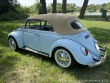 Volkswagen Brouk 1302 1974