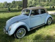 Volkswagen Brouk 1302 1974