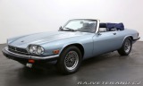 Jaguar XJ XJS V12