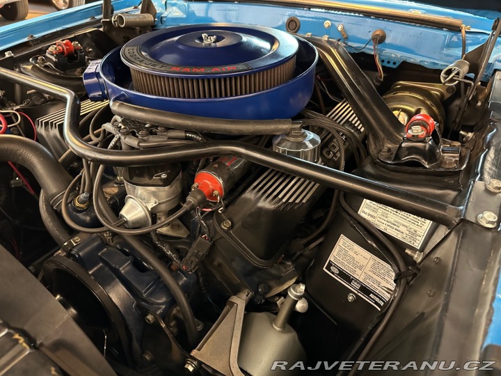 Ford Mustang Shelby GT 500 Convertible 1969