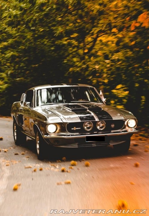 Ford Mustang Shelby GT500 1967