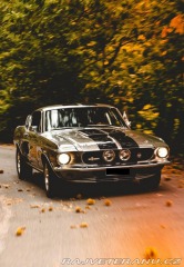Ford Mustang Shelby GT500 1967