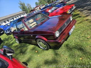 Volkswagen Golf Classic Line 1993