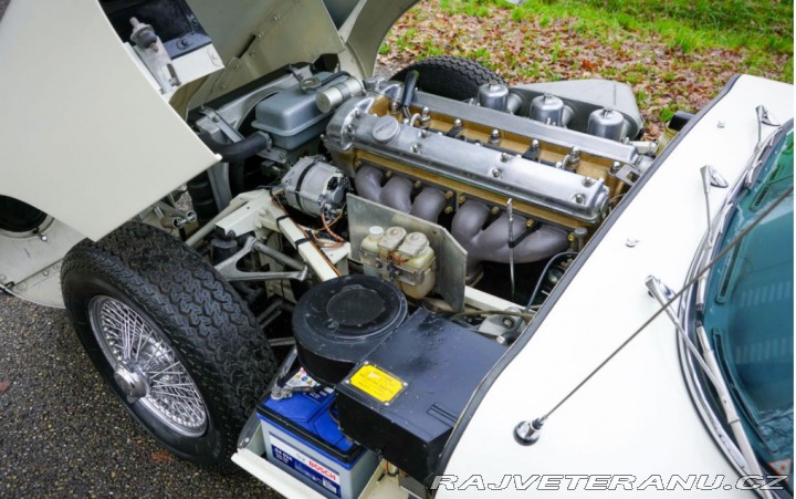 Jaguar E-Type  1966