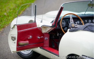 Jaguar E-Type  1966