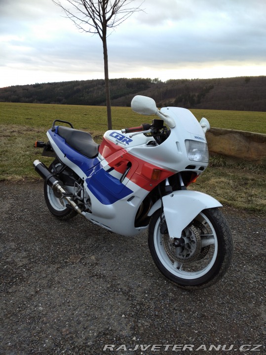 Honda CBR 600 F SuperSport 1989