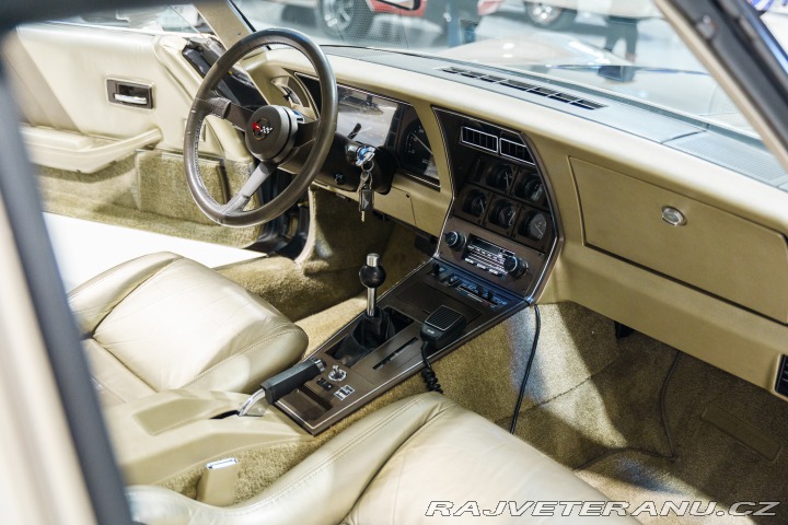 Chevrolet Corvette 16tis mi! V ČR na CZ RZ 1982
