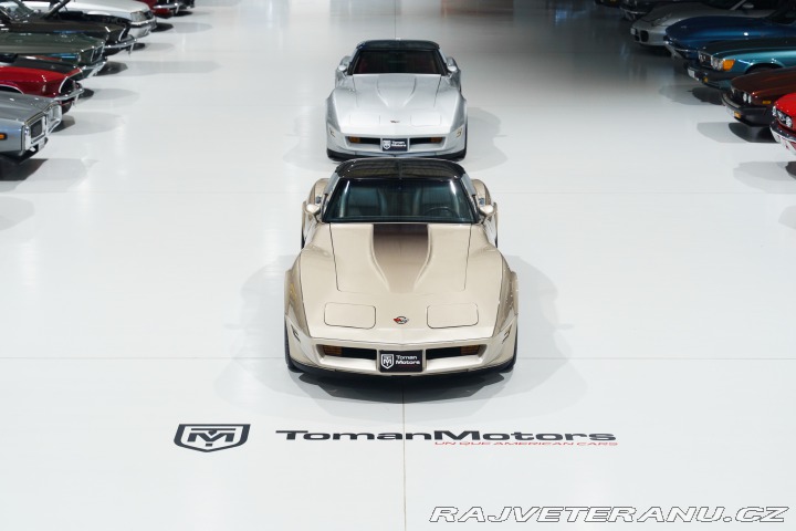 Chevrolet Corvette 16tis mi! V ČR na CZ RZ 1982