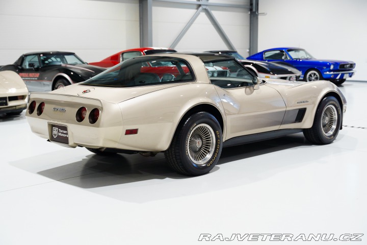 Chevrolet Corvette 16tis mi! V ČR na CZ RZ 1982