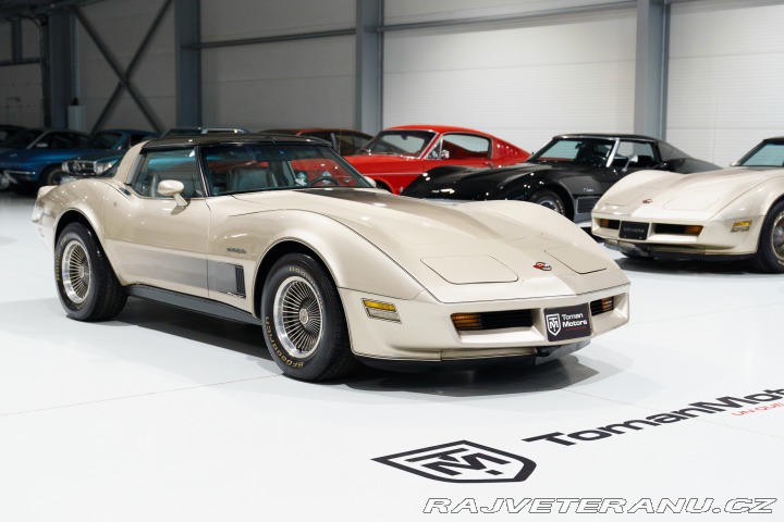 Chevrolet Corvette 16tis mi! V ČR na CZ RZ 1982