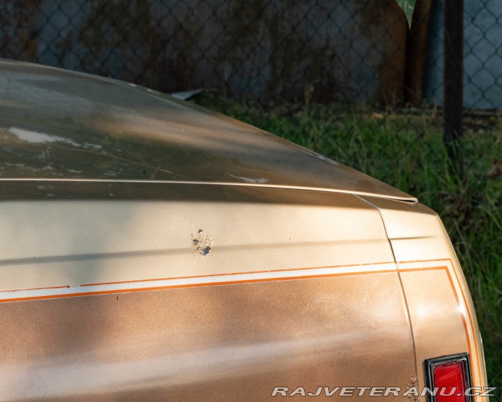 Chevrolet Caprice  1987