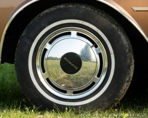 Chevrolet Caprice  1987