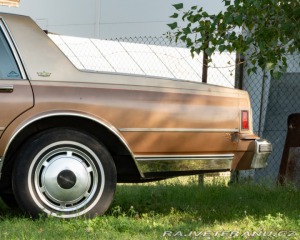 Chevrolet Caprice  1987