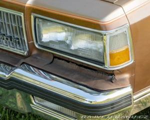 Chevrolet Caprice  1987