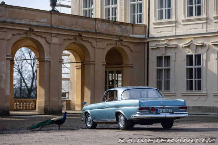 Mercedes-Benz 220 SEB W111 1963