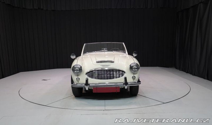 Austin Healey 100/6 1958
