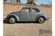 Volkswagen Brouk 1200 1955