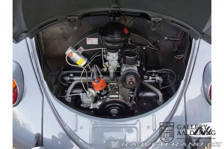 Volkswagen Brouk 1200 1955
