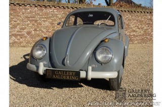 Volkswagen Brouk 1200 1955