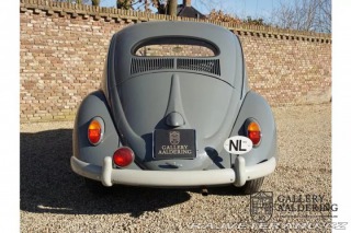 Volkswagen Brouk 1200 1955