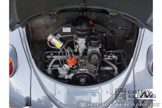 Volkswagen Brouk 1200 1955
