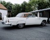 Ford Thunderbird  1956