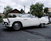 Ford Thunderbird  1956