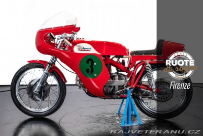 Aermacchi-Harley Davidson 250 S Ala D'Oro