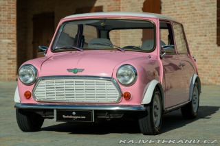 Mini Ostatní modely 1.3 cat 1994