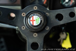Alfa Romeo Alfetta GTV TURBODELTA 1981