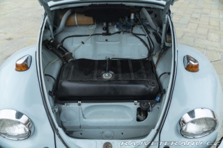 Volkswagen Brouk MAGGIOLINO CABRIOLET 1500 1970